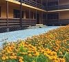 Отель «Дуглас» Пицунда, Абхазия, отдых все включено №24