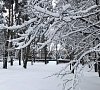 Санаторий «Елочки» Домодедово, отдых все включено №29