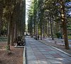 Санаторий «Алуштинский» Крым, отдых все включено №25