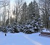 Санаторий «Елочки» Домодедово, отдых все включено №28