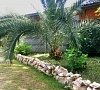 Отель «Дуглас» Пицунда, Абхазия, отдых все включено №17