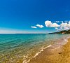 Арбика Пицунда цены Арбика Пицунда цены