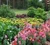 Санаторий «Белые ночи» Сестрорецк, отдых все включено №17