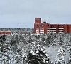 Санаторий Белые ночи Сестрорецк фото