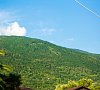 Отель Закавказье Гагра фото Отель Закавказье Гагра фото