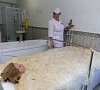 Санаторий «Дубрава» Железноводск, отдых все включено №40
