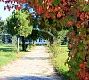 Volna Family Resort Анапа цены