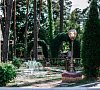 Ченки Гомельская область Ченки Гомельская область