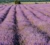 Пансионат «Зенит» Судак, Морское, Крым #15 Пансионат «Зенит» Судак, Морское, Крым #15