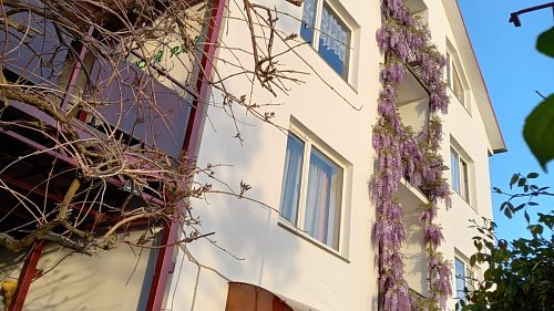 Отель Тихий рай Лазаревское - официальный сайт