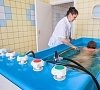 Санаторий «Белые ключи» Карелия, отдых все включено №29