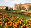 Санаторий Заря Каширское шоссе - официальный сайт Санаторий Заря Каширское шоссе - официальный сайт