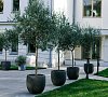 Grand Royal Residences Сочи цены
