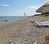 Парк-отель «Черноморец» Гудаута #48 Парк-отель «Черноморец» Гудаута #48