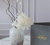 Верди Сочи - официальный сайт