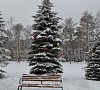 Санаторий «Журавушка» Белоруссия #19