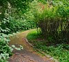 Санаторий им. Горького Щелковское шоссе фото