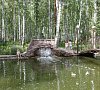 Санаторий Березовая роща Тюменская область - официальный сайт