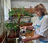 Санаторий «Летцы» Белоруссия, отдых все включено №41