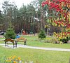 Пралеска Минская область Пралеска Минская область