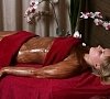 Обертывание (водорослевое, шоколадное, щелковое и т.д.), отдых все включено №10