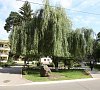 Санаторий Березина Минская область фото Санаторий Березина Минская область фото
