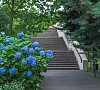Санаторий «Магадан» Сочи (Лоо), отдых все включено №14