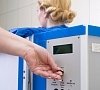 Санаторий «Сибирь» Белокуриха, отдых все включено №43