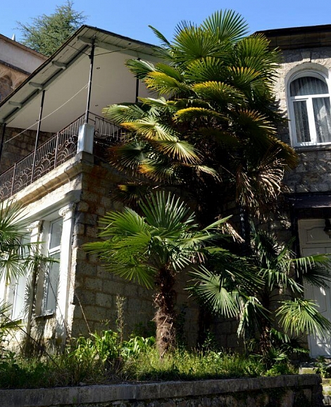 Отель «Принцевский замок» Гагра, Абхазия