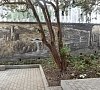 Гостевой дом «Белый» Новый Афон, Абхазия, отдых все включено №21