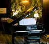 Отель «Панорама by Mercure» 4* Красная Поляна, отдых все включено №20
