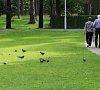 Санаторий «Северная Ривьера» Зеленогорск, отдых все включено №13
