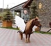 Отель «Архыз Роял Резорт и СПА» #32
