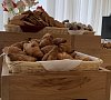 Санаторий Бирюза Сочи фото