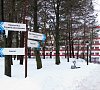 Криница Минская область цены