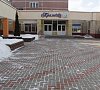 Пралеска Минская область Пралеска Минская область