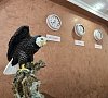 Отель «Версаль» Архыз #18 Отель «Версаль» Архыз #18