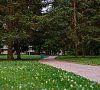 Санаторий «Северная Ривьера» Зеленогорск, отдых все включено №16