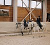 Отель «Horseka resort» Ногинский район, отдых все включено №22