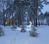 Санаторий «Ченки» Белоруссия #15 Санаторий «Ченки» Белоруссия #15