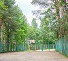 База отдыха «Лосево Парк» Ленинградская область, отдых все включено №36