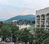 Афалина Лазаревское цены
