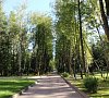 Елочки Каширское шоссе цены