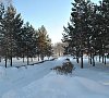 Дом отдыха Березки #19 Дом отдыха Березки #19