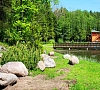 Алеся Минская область цены