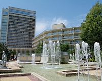 Санаторий Зеленая Роща в Сочи, вид снаружи Санаторий Зеленая Роща (Сочи)