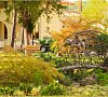Дельфин Пицунда цены