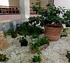 Санаторий «Березина» Минская область, отдых все включено №27
