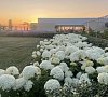Рассветы Закаты Песчаное цены