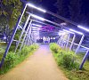 Отель VE art resort 4* Минское шоссе Отель VE art resort 4* Минское шоссе